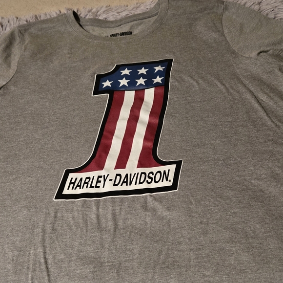Harley-Davidson Gray Graphic Retro Tee Size XL - Picture 3 of 12